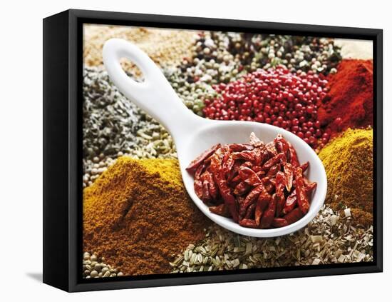 Dried Chillies in Spoon on Assorted Spices-Dieter Heinemann-Framed Premier Image Canvas