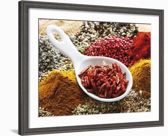 Dried Chillies in Spoon on Assorted Spices-Dieter Heinemann-Framed Photographic Print