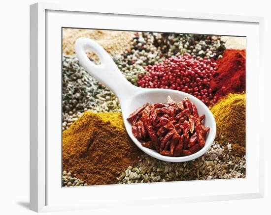 Dried Chillies in Spoon on Assorted Spices-Dieter Heinemann-Framed Photographic Print