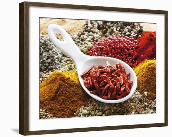 Dried Chillies in Spoon on Assorted Spices-Dieter Heinemann-Framed Photographic Print