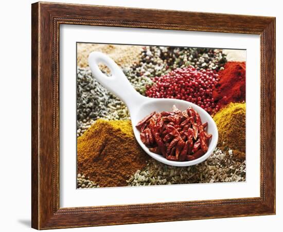 Dried Chillies in Spoon on Assorted Spices-Dieter Heinemann-Framed Photographic Print