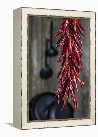 Dried Chillipods Hang Infront of Wooden Wall with Culinary Utensils-Jana Ihle-Framed Premier Image Canvas