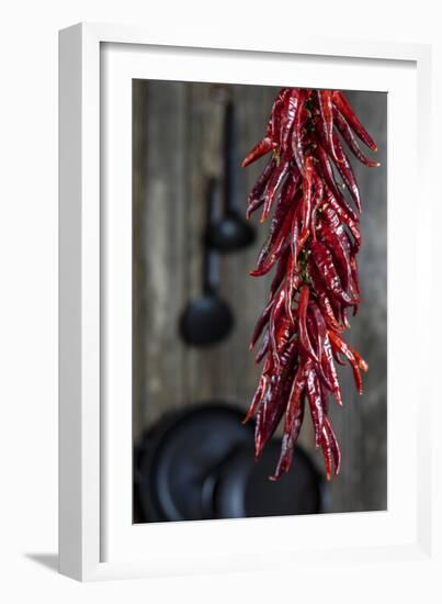 Dried Chillipods Hang Infront of Wooden Wall with Culinary Utensils-Jana Ihle-Framed Premium Photographic Print