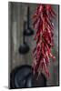 Dried Chillipods Hang Infront of Wooden Wall with Culinary Utensils-Jana Ihle-Mounted Photographic Print