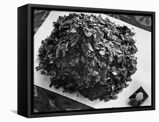 Dried Coca Leaves, from Which Cocaine is Derived-Eliot Elisofon-Framed Premier Image Canvas