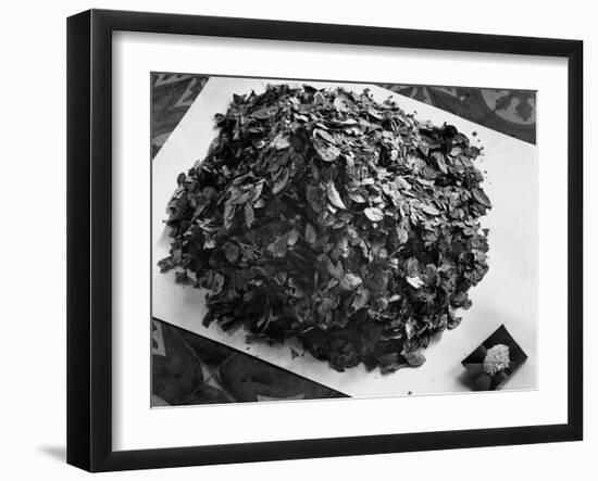 Dried Coca Leaves, from Which Cocaine is Derived-Eliot Elisofon-Framed Photographic Print