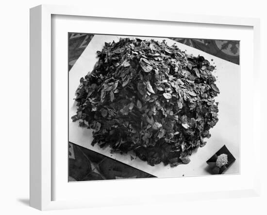 Dried Coca Leaves, from Which Cocaine is Derived-Eliot Elisofon-Framed Photographic Print