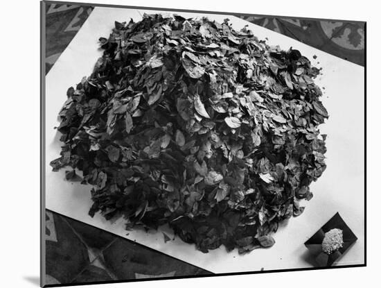 Dried Coca Leaves, from Which Cocaine is Derived-Eliot Elisofon-Mounted Photographic Print