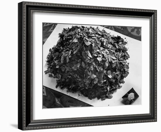 Dried Coca Leaves, from Which Cocaine is Derived-Eliot Elisofon-Framed Photographic Print