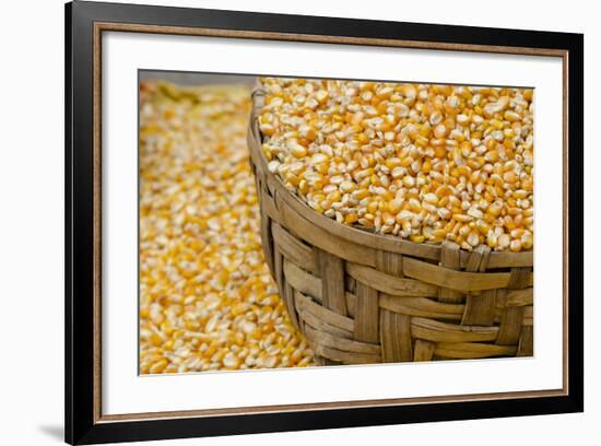 Dried Corn in Basket, Otavalo Handicraft Market, Quito, Ecuador-Cindy Miller Hopkins-Framed Photographic Print