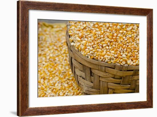 Dried Corn in Basket, Otavalo Handicraft Market, Quito, Ecuador-Cindy Miller Hopkins-Framed Photographic Print