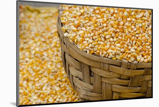 Dried Corn in Basket, Otavalo Handicraft Market, Quito, Ecuador-Cindy Miller Hopkins-Mounted Photographic Print