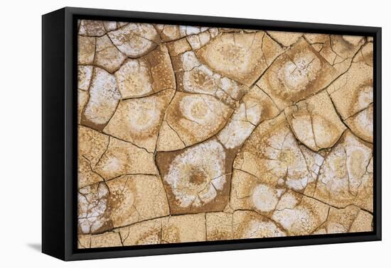 Dried, cracked earth and salt create the patterns on the flats of Death Valley National Park.-Mallorie Ostrowitz-Framed Premier Image Canvas