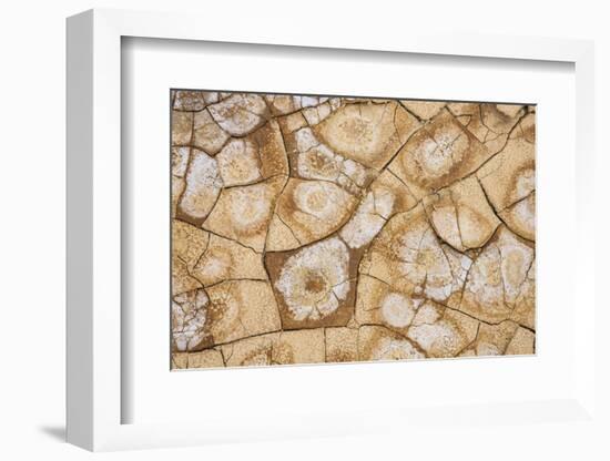 Dried, cracked earth and salt create the patterns on the flats of Death Valley National Park.-Mallorie Ostrowitz-Framed Photographic Print