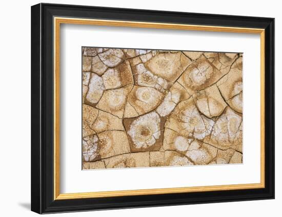 Dried, cracked earth and salt create the patterns on the flats of Death Valley National Park.-Mallorie Ostrowitz-Framed Photographic Print