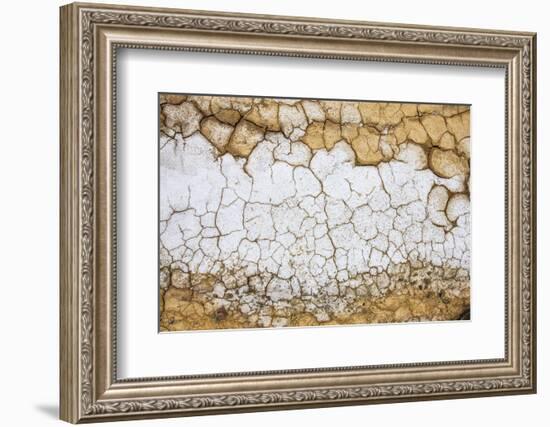 Dried Earth Covered with Salt in Death Valley National Park-Mallorie Ostrowitz-Framed Photographic Print