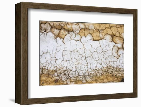 Dried Earth Covered with Salt in Death Valley National Park-Mallorie Ostrowitz-Framed Photographic Print
