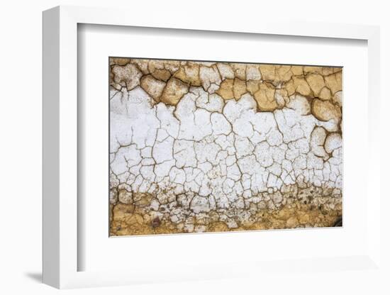 Dried Earth Covered with Salt in Death Valley National Park-Mallorie Ostrowitz-Framed Photographic Print