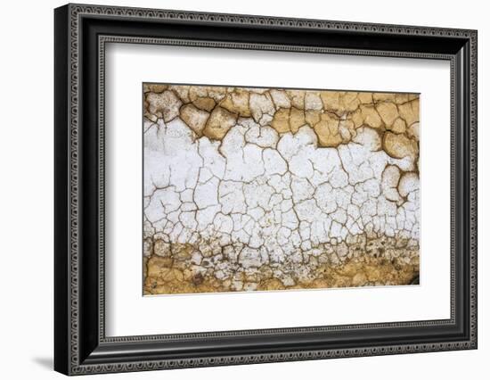 Dried Earth Covered with Salt in Death Valley National Park-Mallorie Ostrowitz-Framed Photographic Print