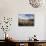 Dried Flower Heads along Slough, Flood Plain of Logan River, Great Basin, Cache Valley, Utah, USA-Scott T. Smith-Photographic Print displayed on a wall