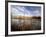 Dried Flower Heads along Slough, Flood Plain of Logan River, Great Basin, Cache Valley, Utah, USA-Scott T. Smith-Framed Photographic Print