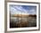 Dried Flower Heads along Slough, Flood Plain of Logan River, Great Basin, Cache Valley, Utah, USA-Scott T. Smith-Framed Photographic Print