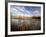 Dried Flower Heads along Slough, Flood Plain of Logan River, Great Basin, Cache Valley, Utah, USA-Scott T. Smith-Framed Photographic Print