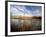 Dried Flower Heads along Slough, Flood Plain of Logan River, Great Basin, Cache Valley, Utah, USA-Scott T. Smith-Framed Photographic Print