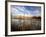 Dried Flower Heads along Slough, Flood Plain of Logan River, Great Basin, Cache Valley, Utah, USA-Scott T. Smith-Framed Photographic Print