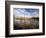 Dried Flower Heads along Slough, Flood Plain of Logan River, Great Basin, Cache Valley, Utah, USA-Scott T. Smith-Framed Photographic Print