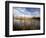 Dried Flower Heads along Slough, Flood Plain of Logan River, Great Basin, Cache Valley, Utah, USA-Scott T. Smith-Framed Photographic Print