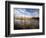 Dried Flower Heads along Slough, Flood Plain of Logan River, Great Basin, Cache Valley, Utah, USA-Scott T. Smith-Framed Photographic Print