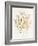 Dried Flower I-Aria K-Framed Art Print