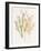 Dried Flower I-Aria K-Framed Art Print