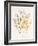 Dried Flower I-Aria K-Framed Art Print