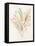 Dried Flower II-Aria K-Framed Stretched Canvas