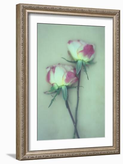 Dried Flower-Den Reader-Framed Photographic Print