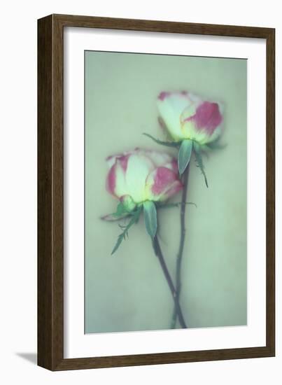 Dried Flower-Den Reader-Framed Photographic Print