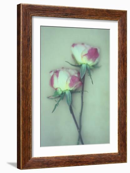 Dried Flower-Den Reader-Framed Photographic Print