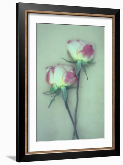 Dried Flower-Den Reader-Framed Photographic Print