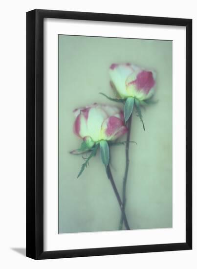 Dried Flower-Den Reader-Framed Photographic Print