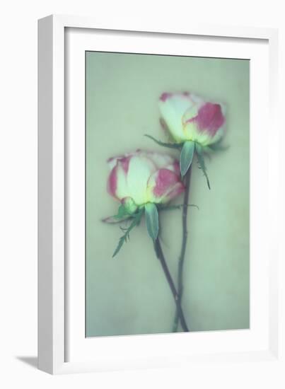 Dried Flower-Den Reader-Framed Photographic Print