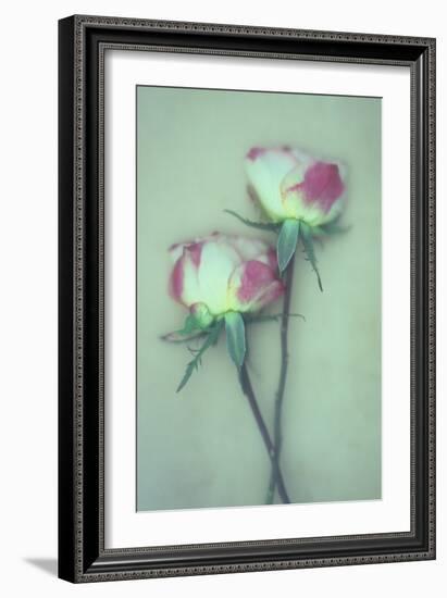 Dried Flower-Den Reader-Framed Photographic Print