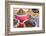 Dried Flowers and Herbs at a Spice Market, Rahba Kedima in Marrakech-Peter Adams-Framed Photographic Print