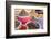 Dried Flowers and Herbs at a Spice Market, Rahba Kedima in Marrakech-Peter Adams-Framed Photographic Print