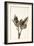 Dried Flowers-Torsten Richter-Framed Photographic Print