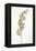 Dried Flowers-Torsten Richter-Framed Premier Image Canvas