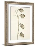 Dried Flowers-Torsten Richter-Framed Photographic Print