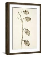 Dried Flowers-Torsten Richter-Framed Photographic Print