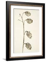 Dried Flowers-Torsten Richter-Framed Photographic Print